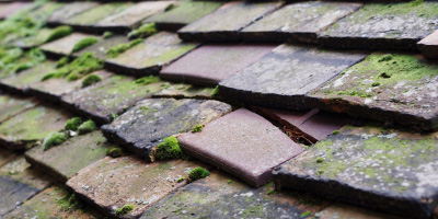 Foscot roof repair costs